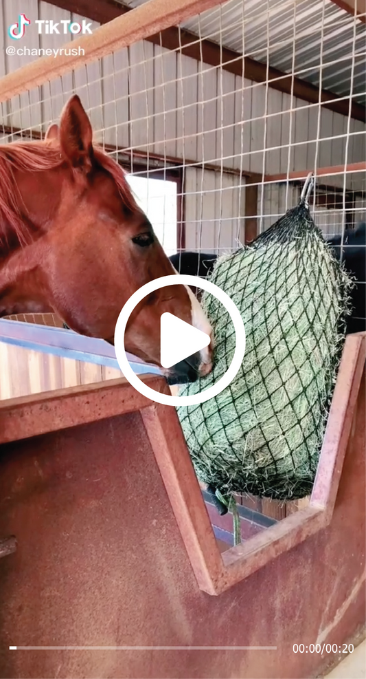 HC® Win @t4quarterhorses