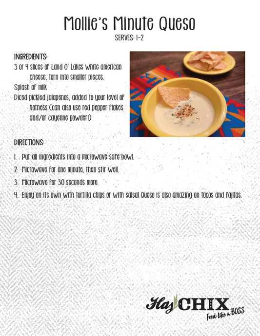 Recipe: Mollie's Minute Queso