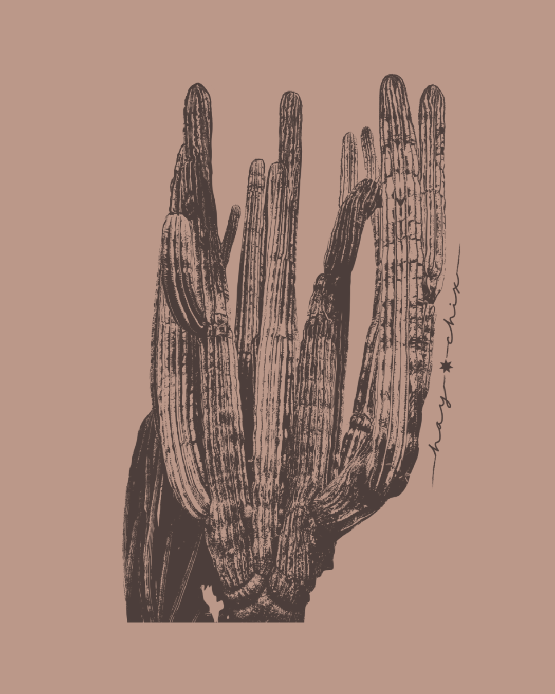 Hay Chix Cactus Graphic Tee