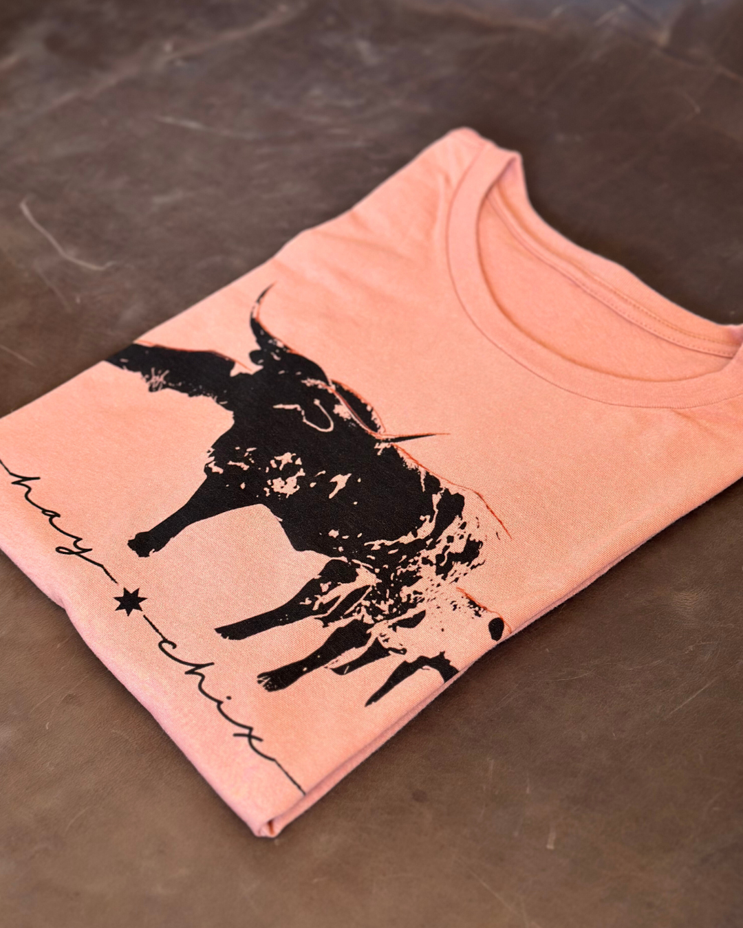Hay Chix Longhorn Graphic Tee