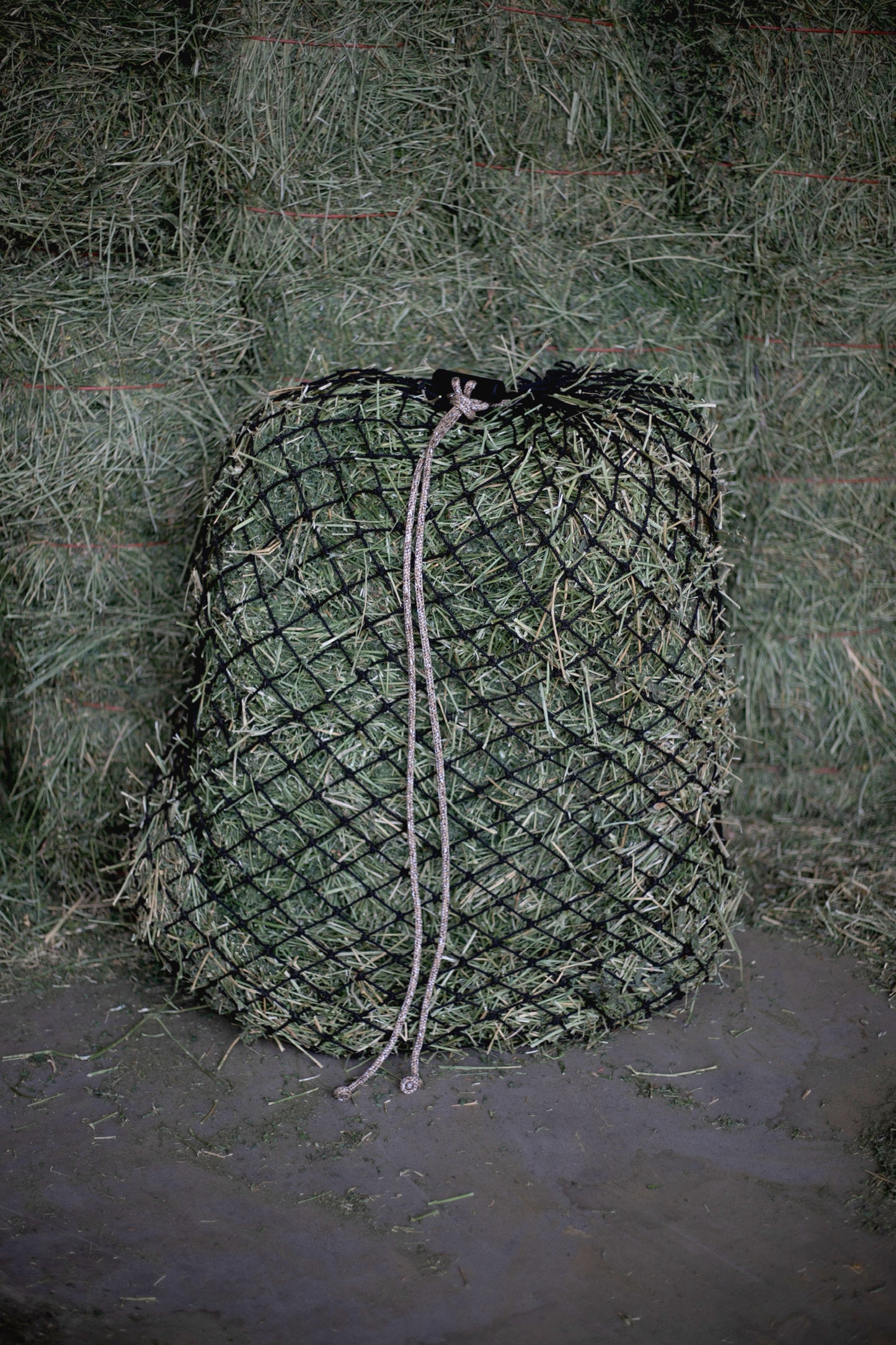 The Mix Up Net