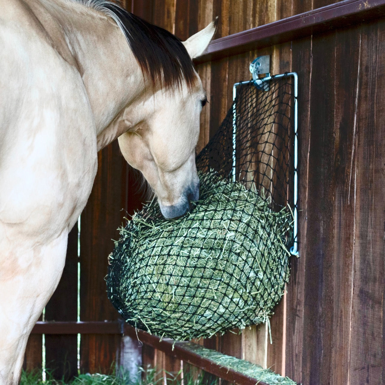 Hay Chix® Free Up Feeder