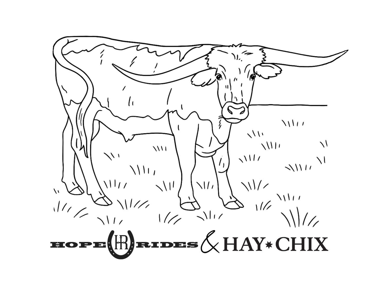 Hay Chix Youth Coloring Tee
