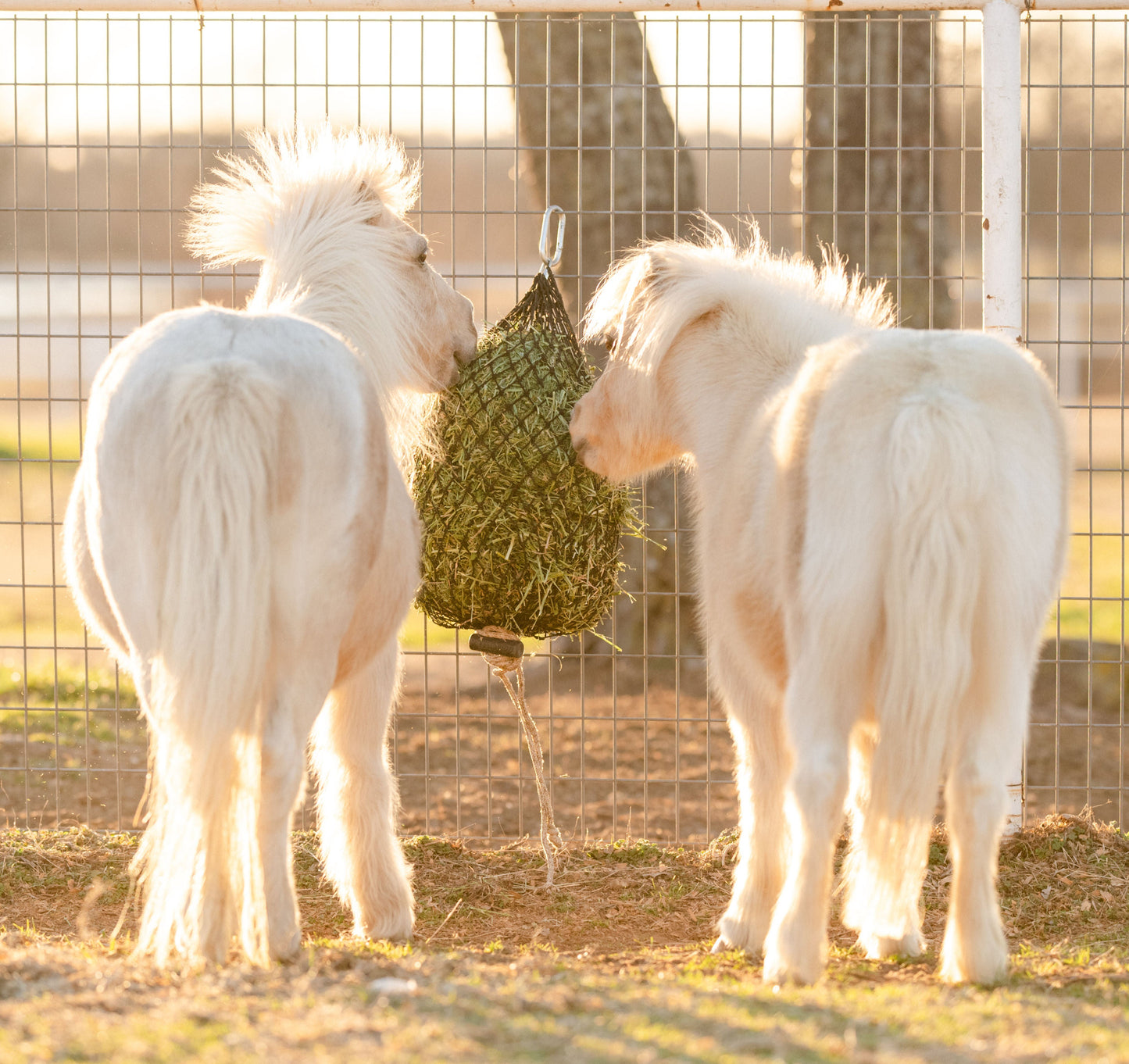 USED Hay Chix® Quarter Bale Net