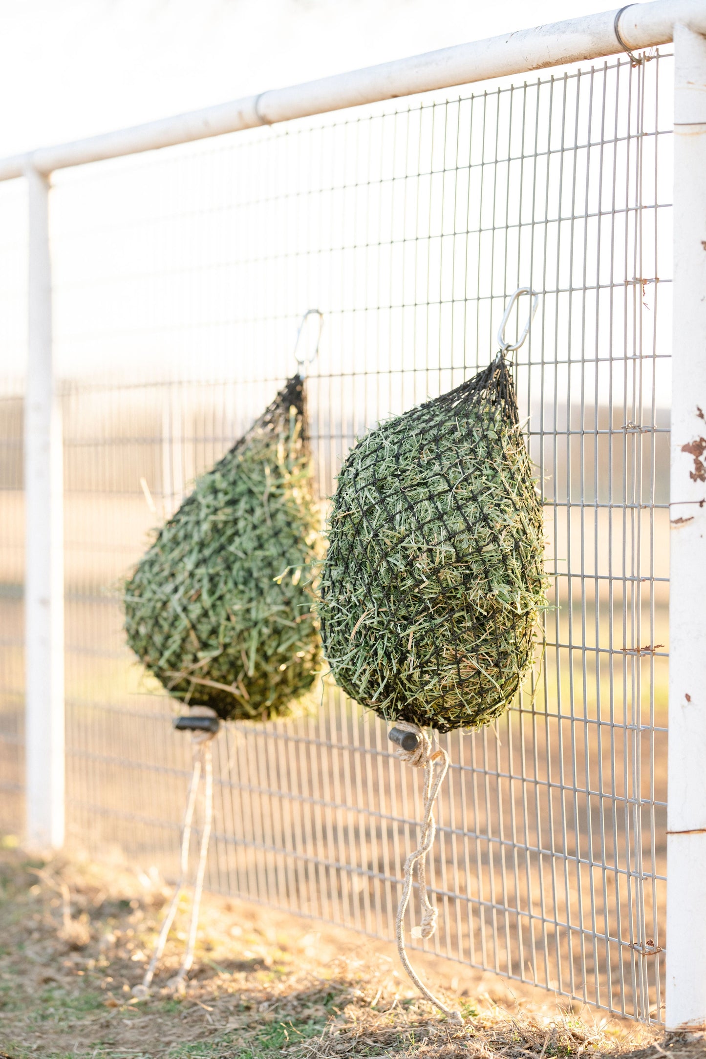 USED Hay Chix® Quarter Bale Net