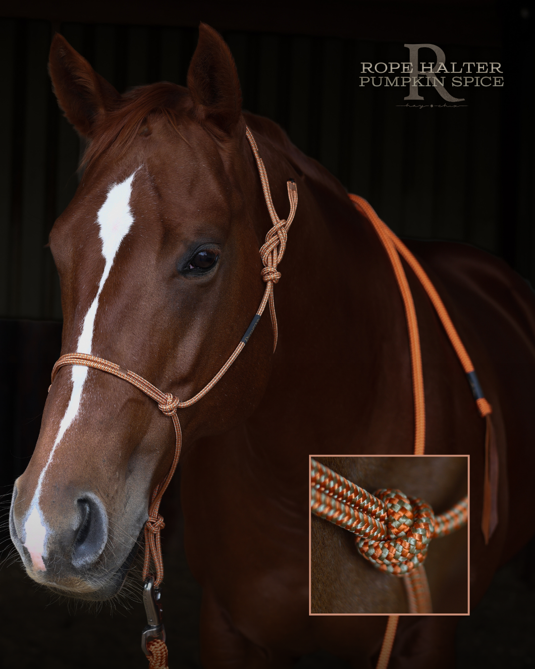 Redemption Rope Halters