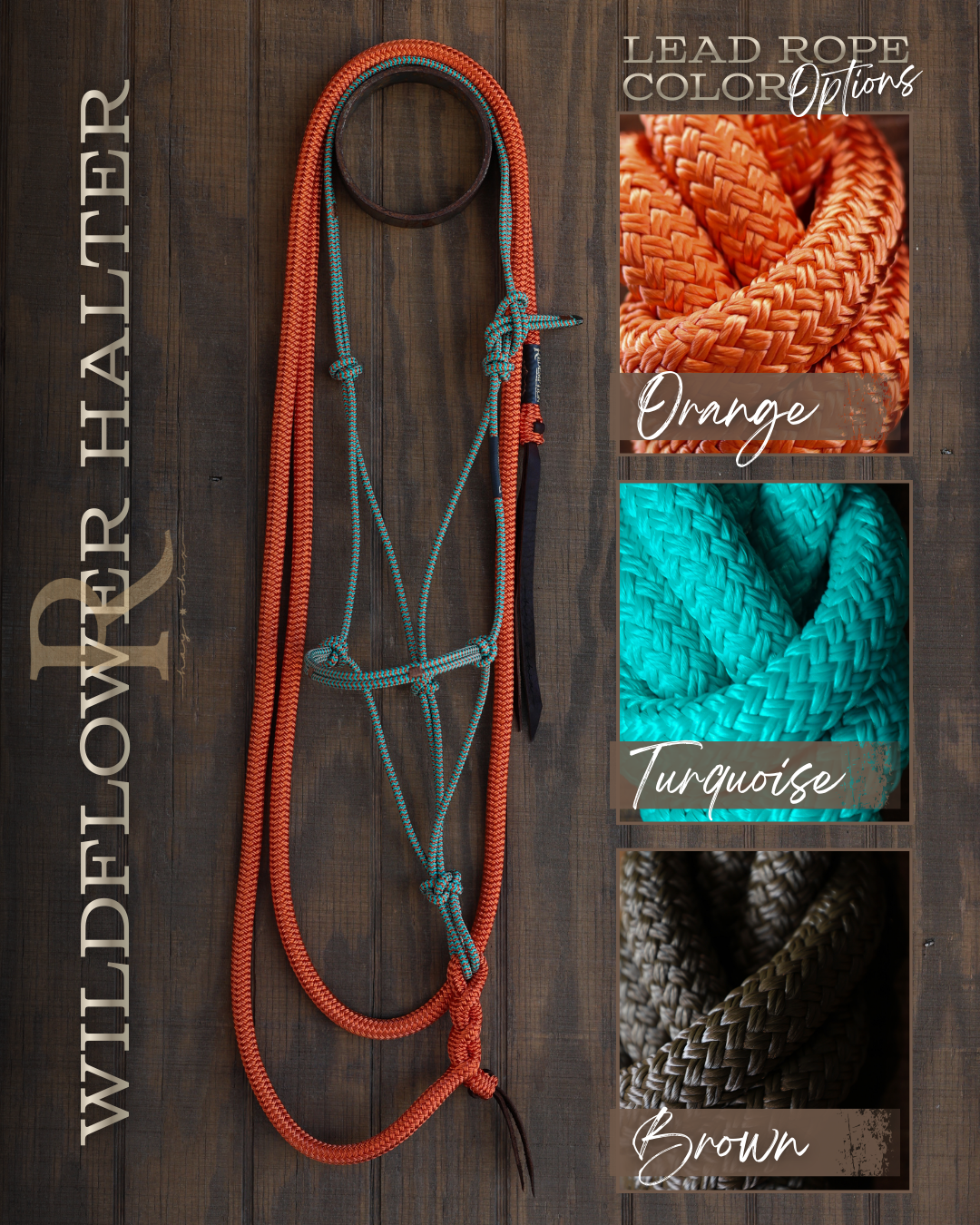 Timeless Halter & Lead Rope Set- Wildflower – Hay Chix