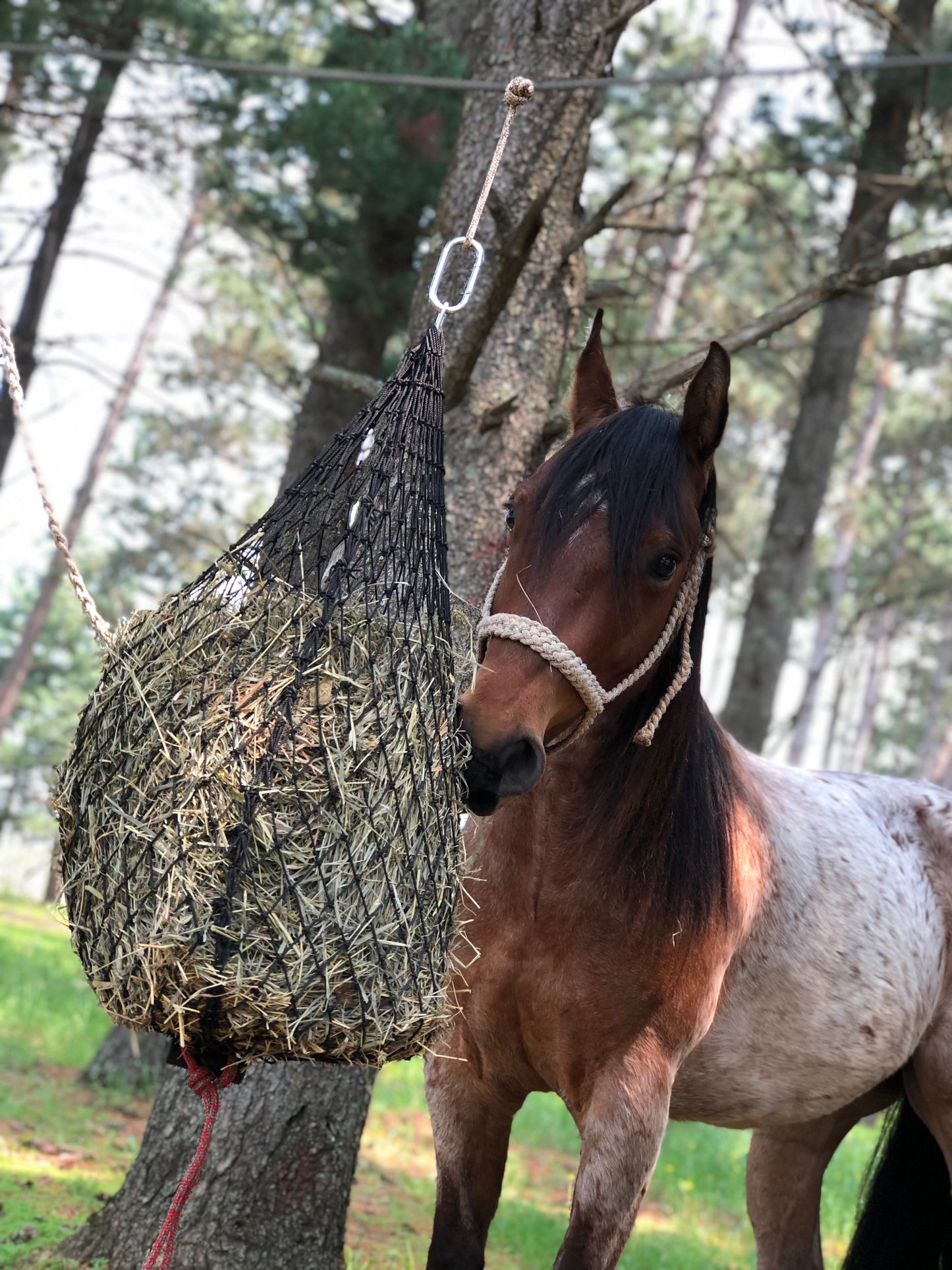 Hay Chix® Tie Line Keeper