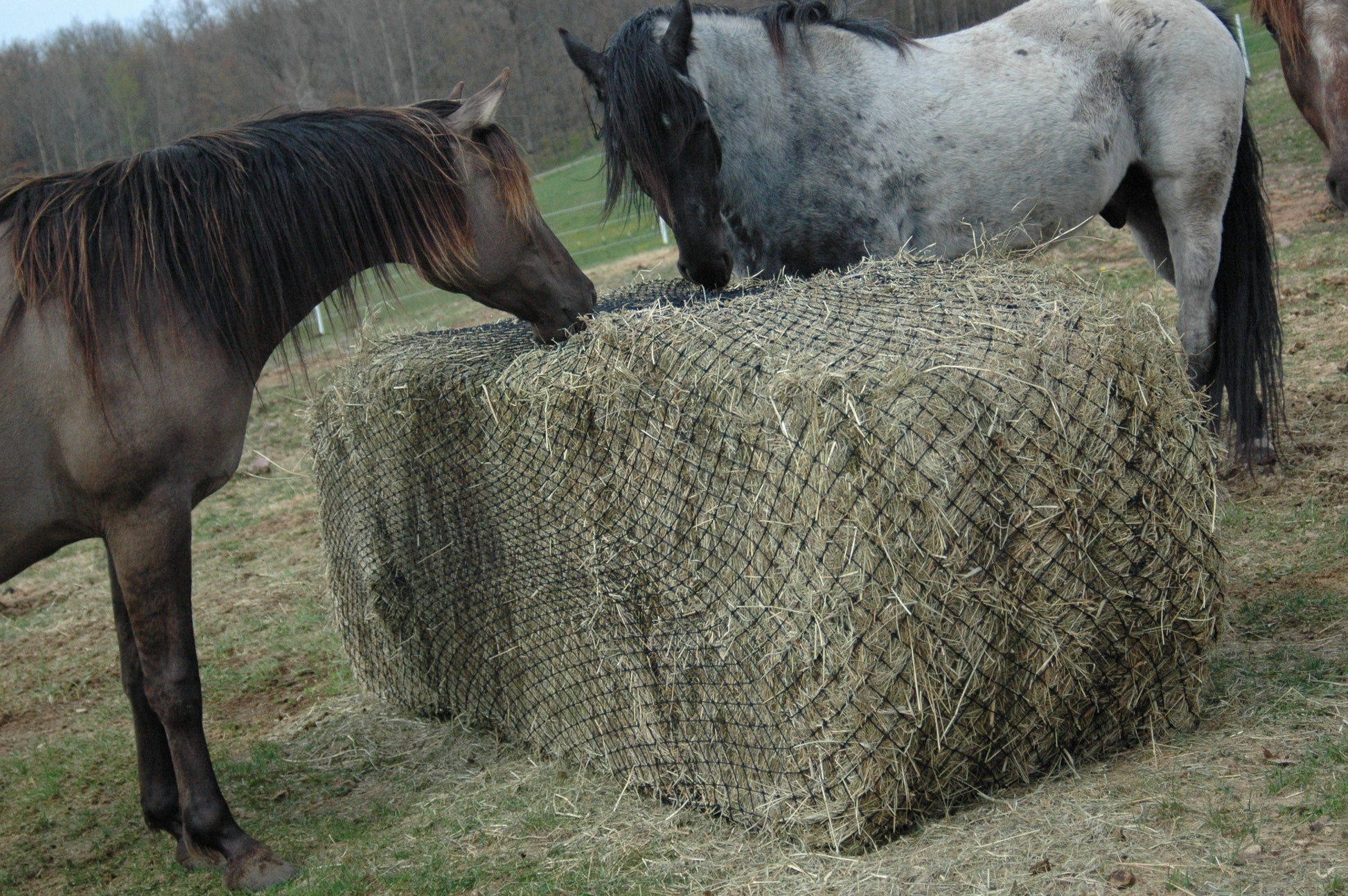 Bale of Hay
