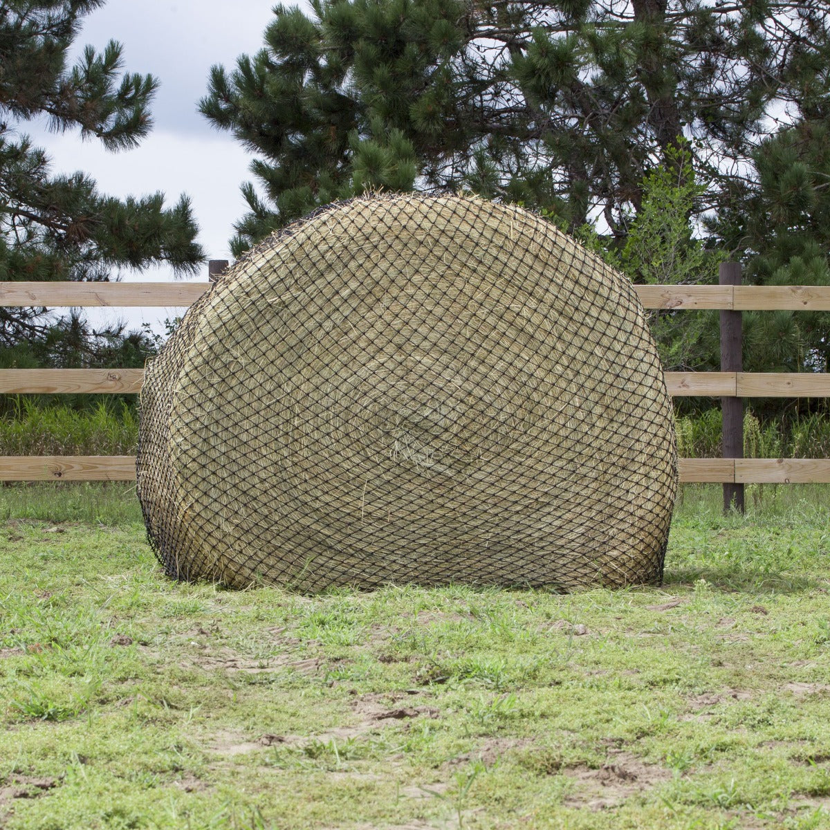 Hay Chix® Large Bale Net - 5' "The Goldilocks"