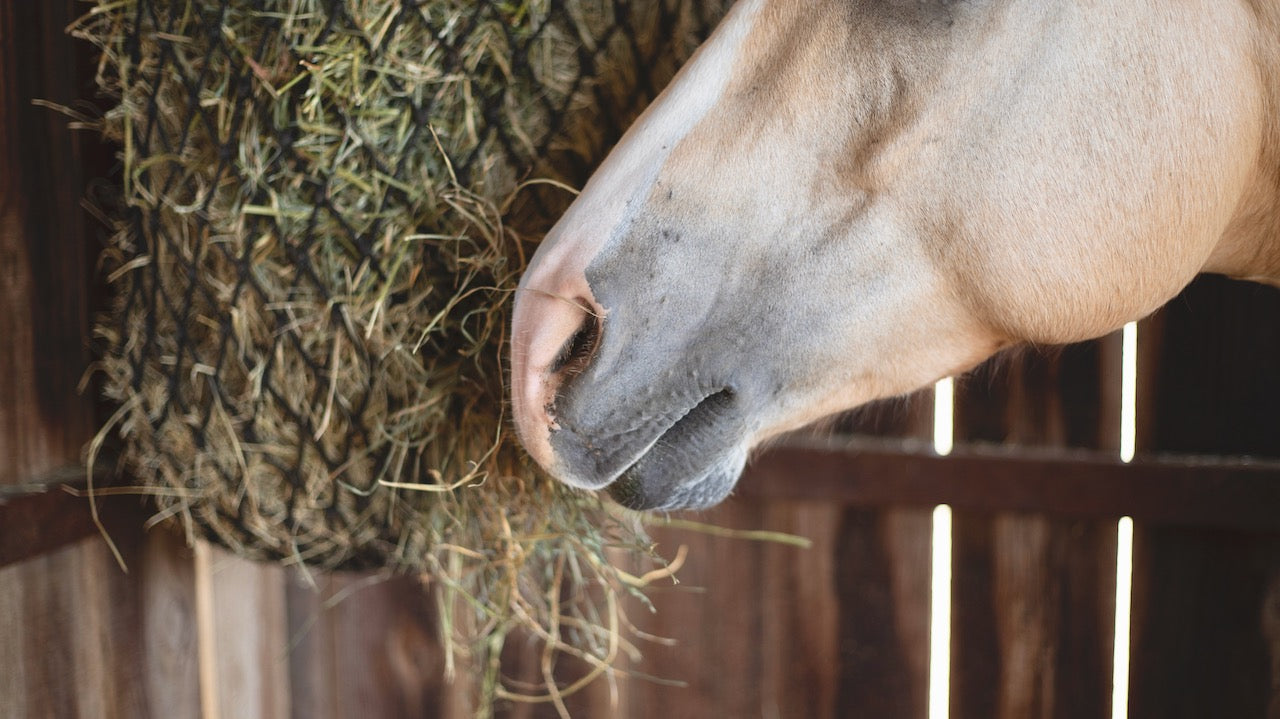 Hay Chix® Hay Rack