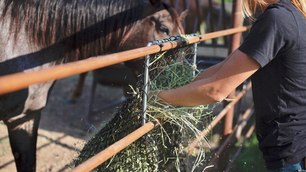 Hay Chix® Panel Feeder