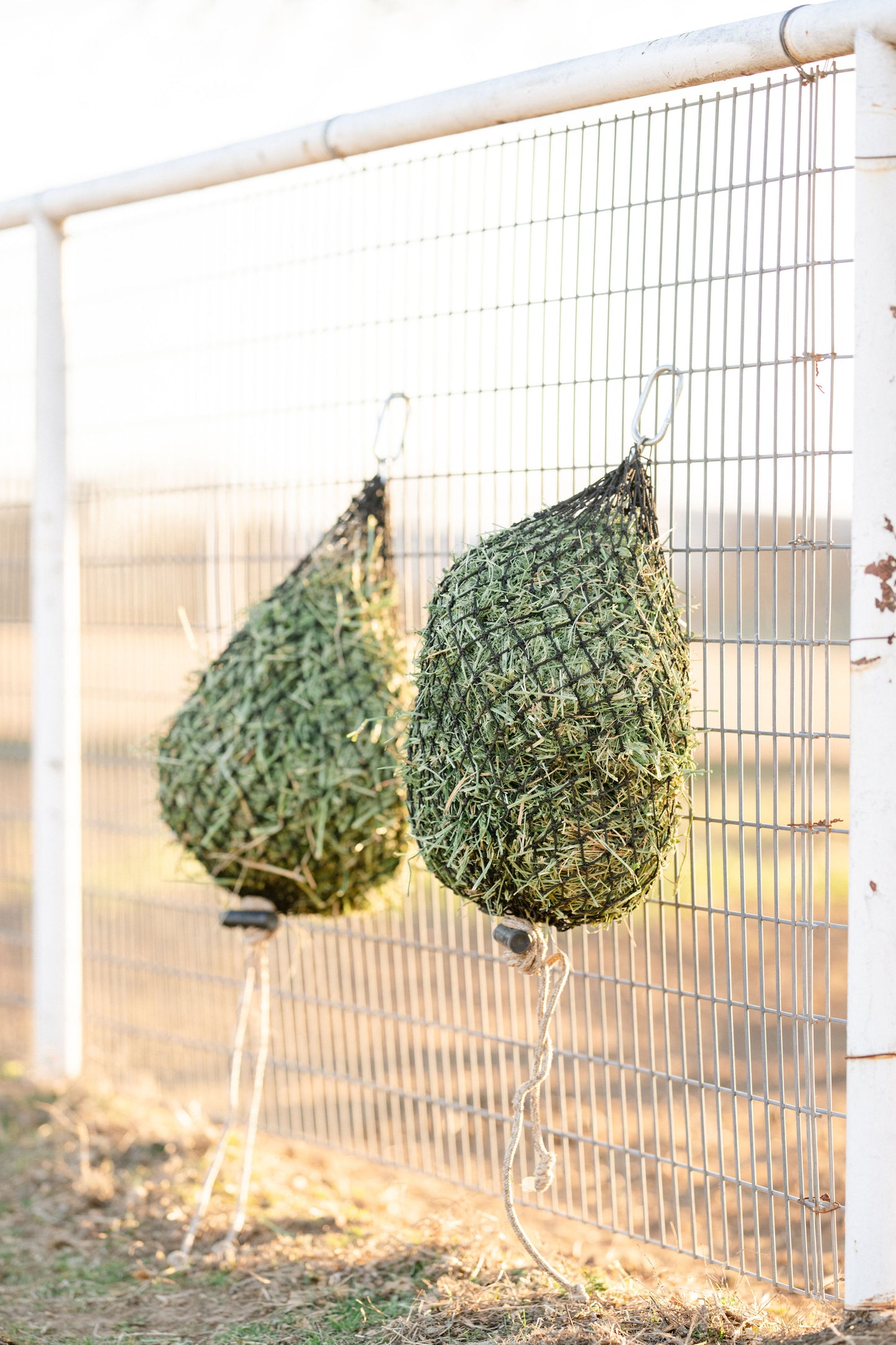 Hay Chix® Quarter Bale Net