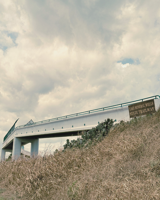 Build a Bridge