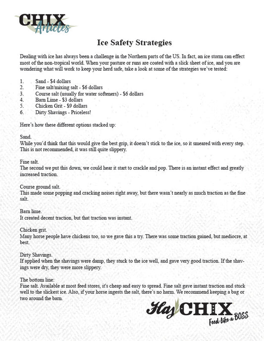 Article: Ice Safety Strategies