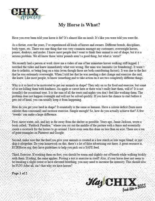 Article: My Horse is What?