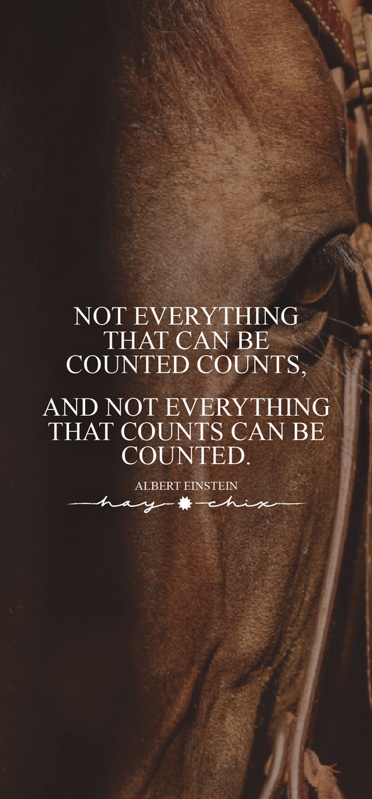 What Counts to You?