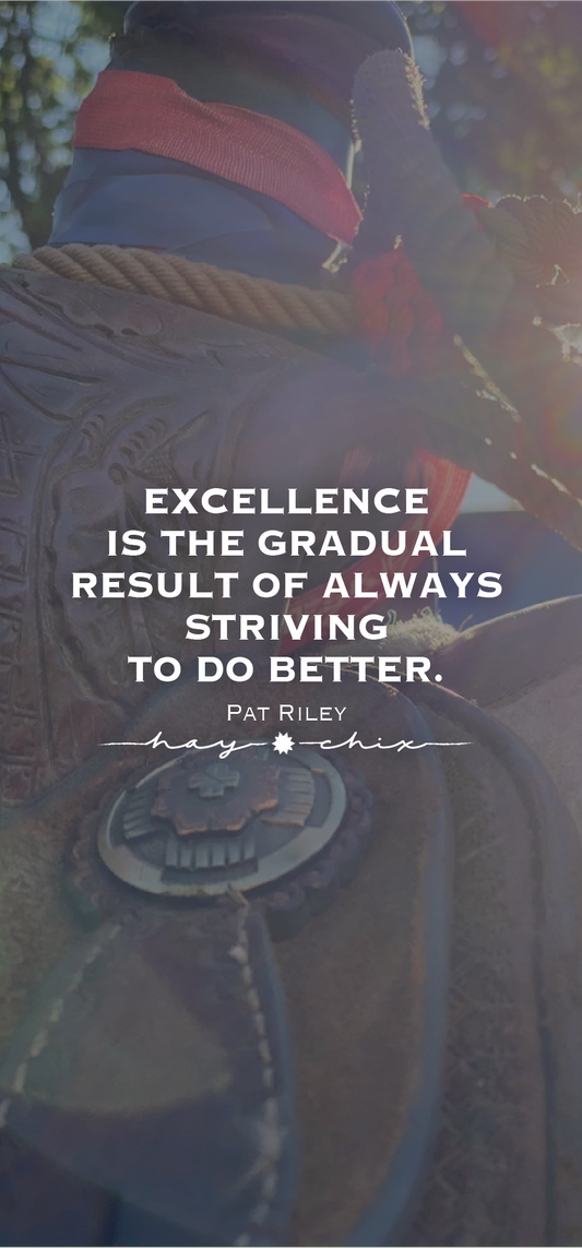 Excellence Is