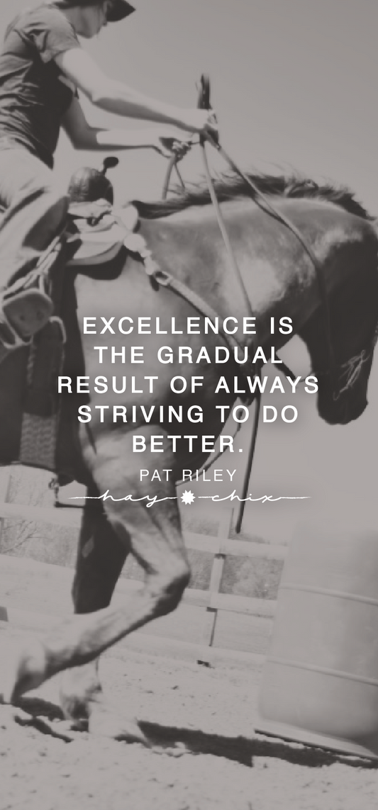 Excellence Is