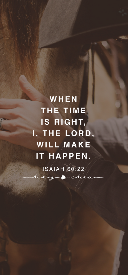 Isaiah 60:22