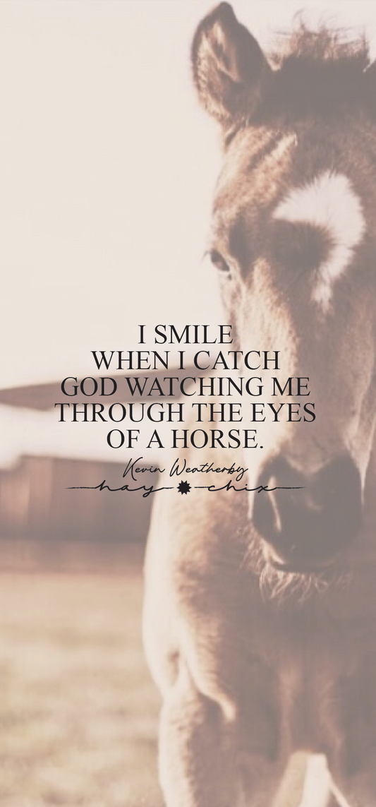 Through the Eyes of a Horse