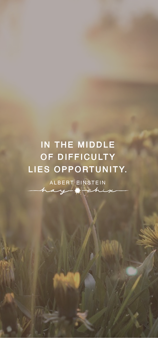 Lies Opportunity