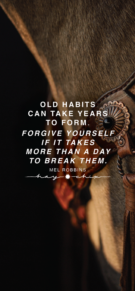 Forgive Yourself