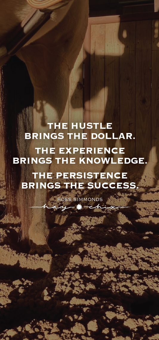 Hustle, Get Experienced, & Be Persistent