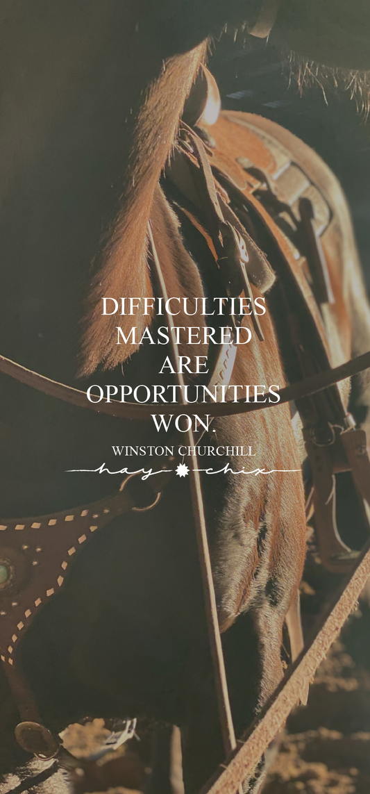Opportunities Won