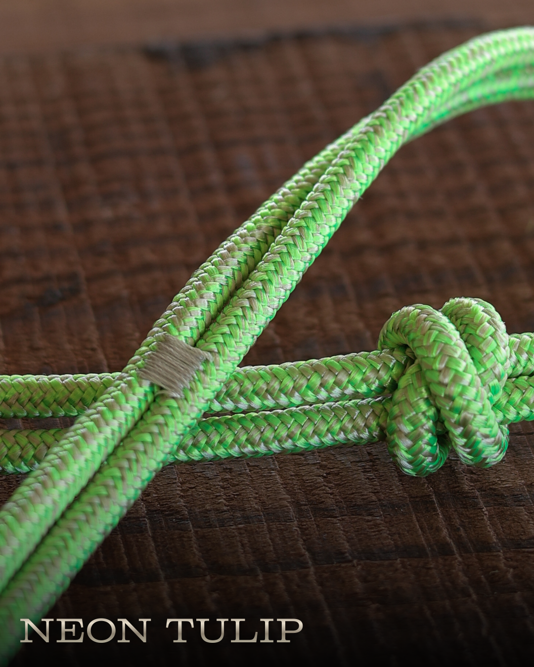 Timeless Halter & Lead Rope Set- Neon Tulip