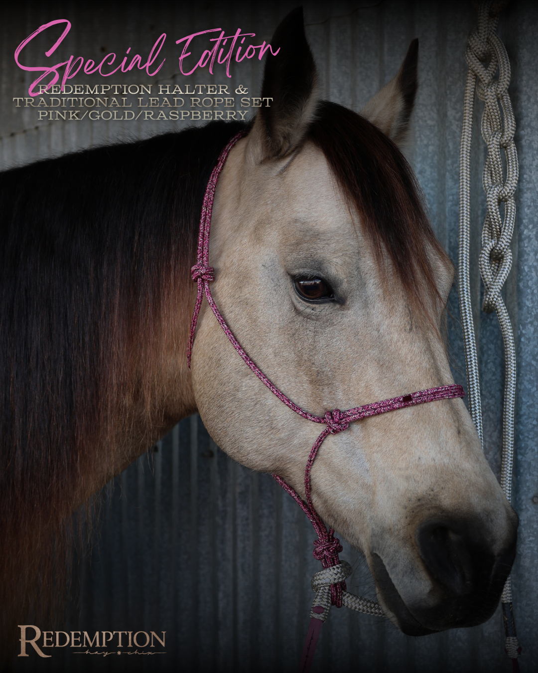 Special Edition Redemption Halter & Lead Rope- Pink/Gold/Raspberry Set