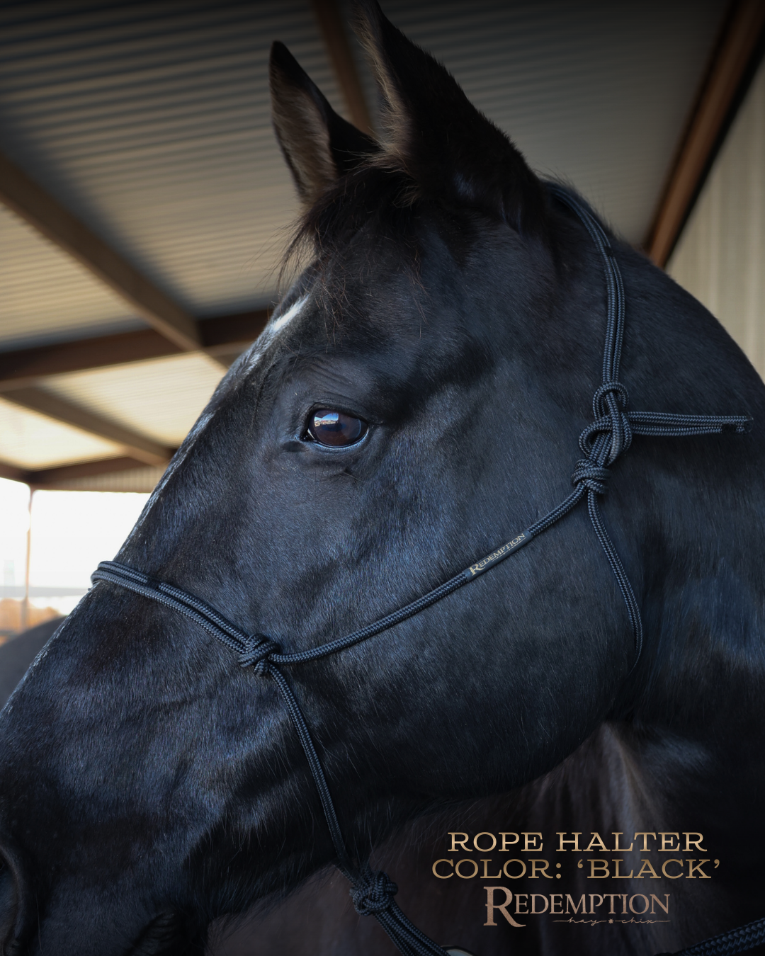 Redemption Rope Halters