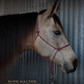Redemption Rope Halters