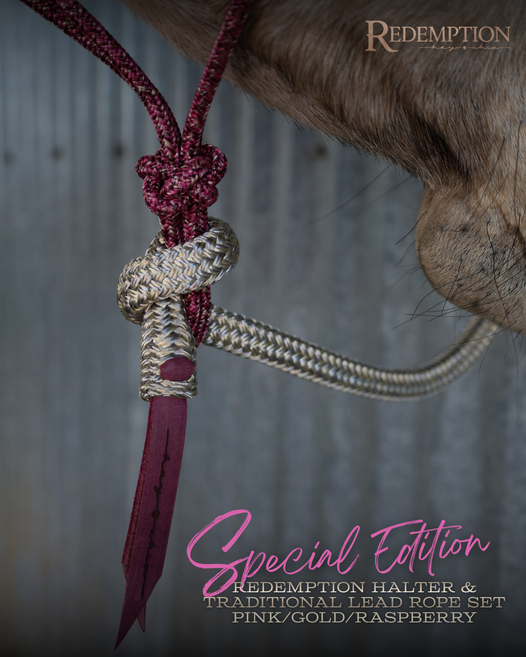 Special Edition Redemption Halter & Lead Rope- Pink/Gold/Raspberry Set