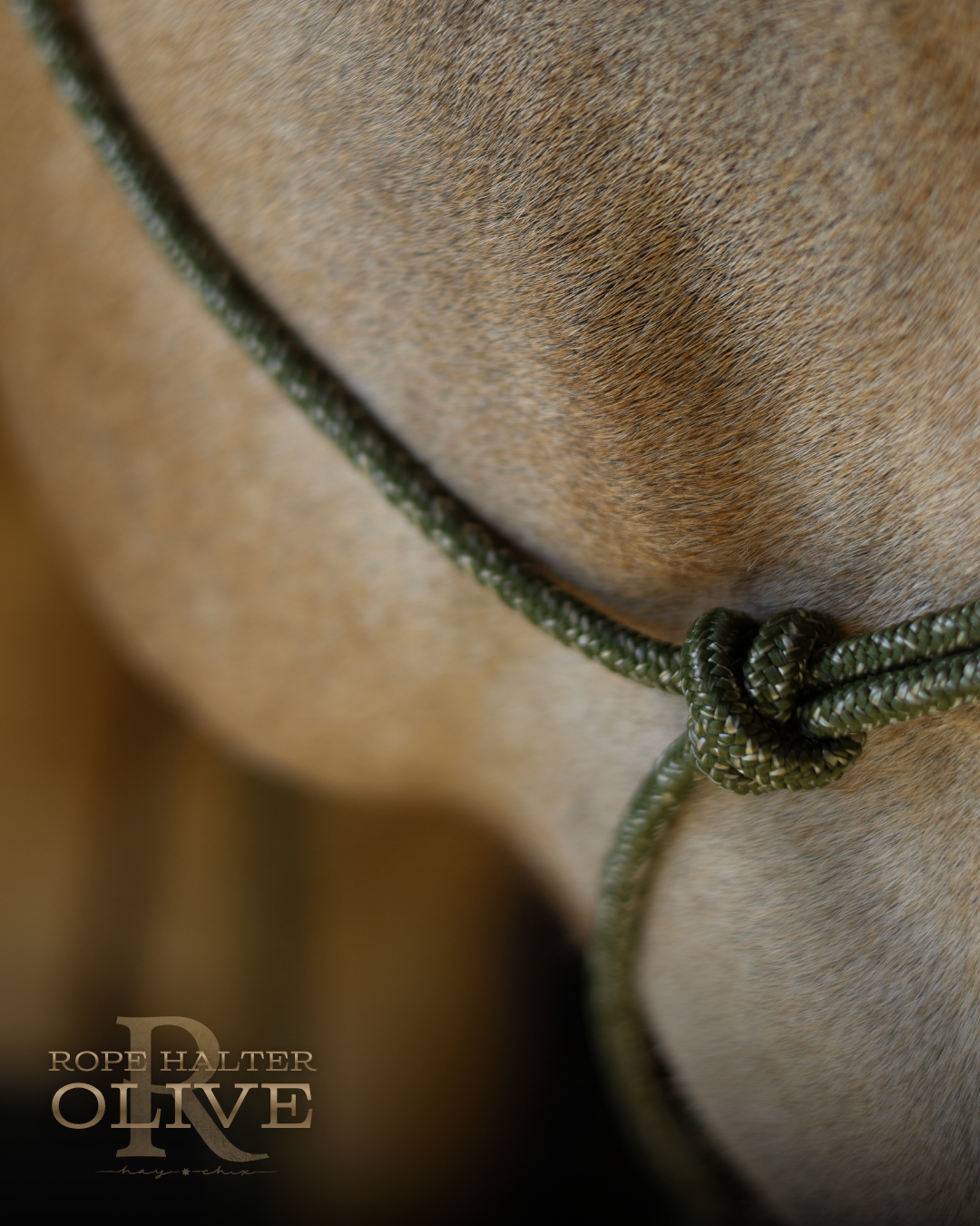 Redemption Rope Halters
