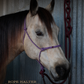 Redemption Rope Halters