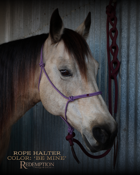 Redemption Rope Halters
