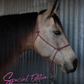 Special Edition Redemption Halter & Lead Rope- Pink/Gold/Raspberry Set