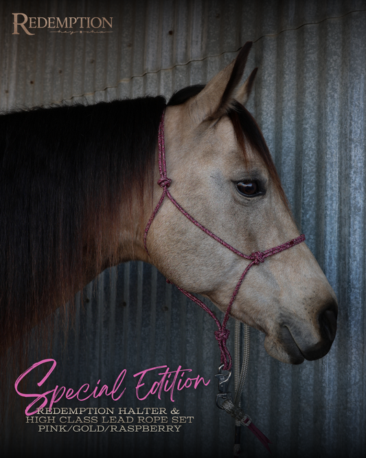Special Edition Redemption Halter & Lead Rope- Pink/Gold/Raspberry Set