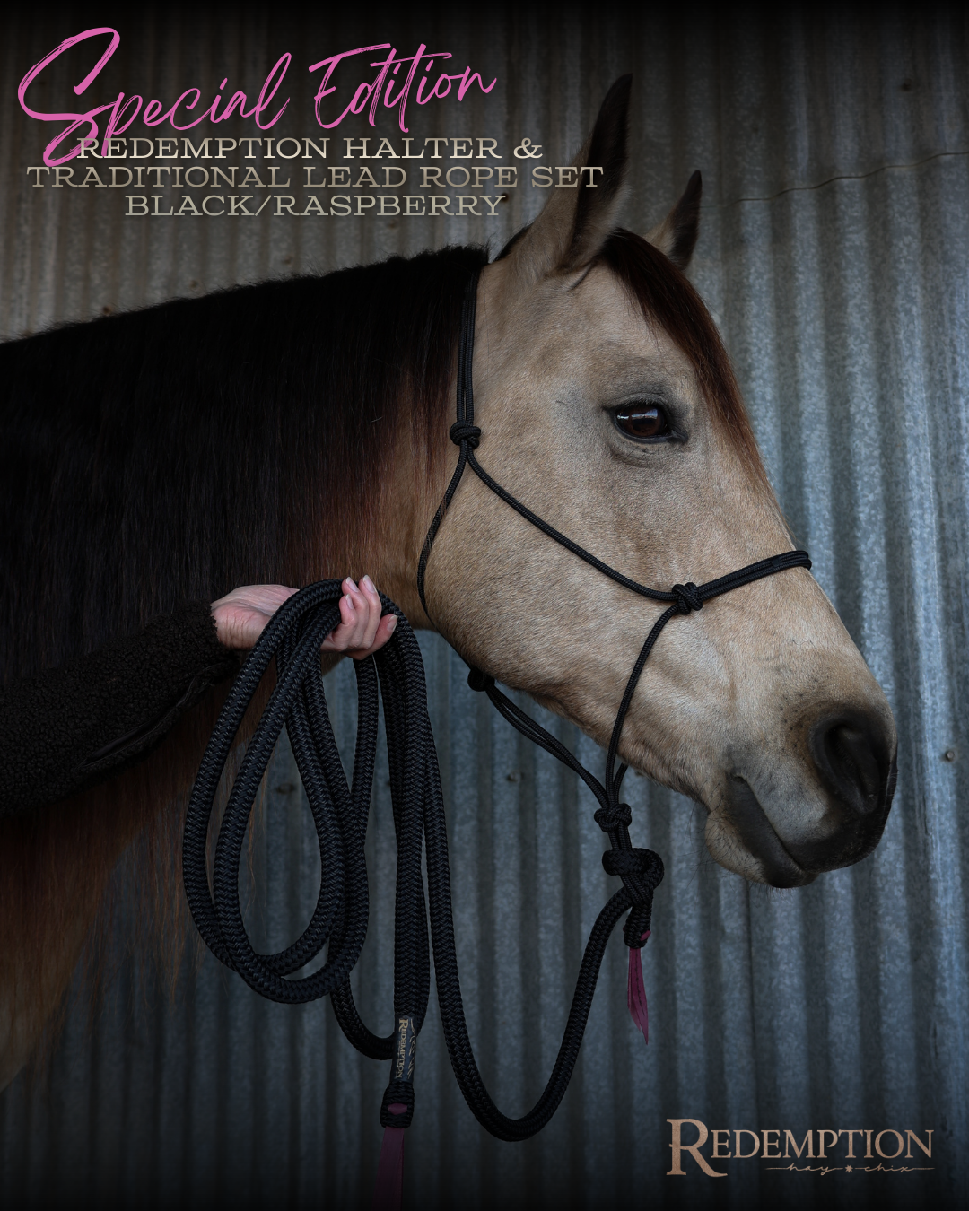 Special Edition Redemption Halter & Lead Rope- Black/Raspberry Set