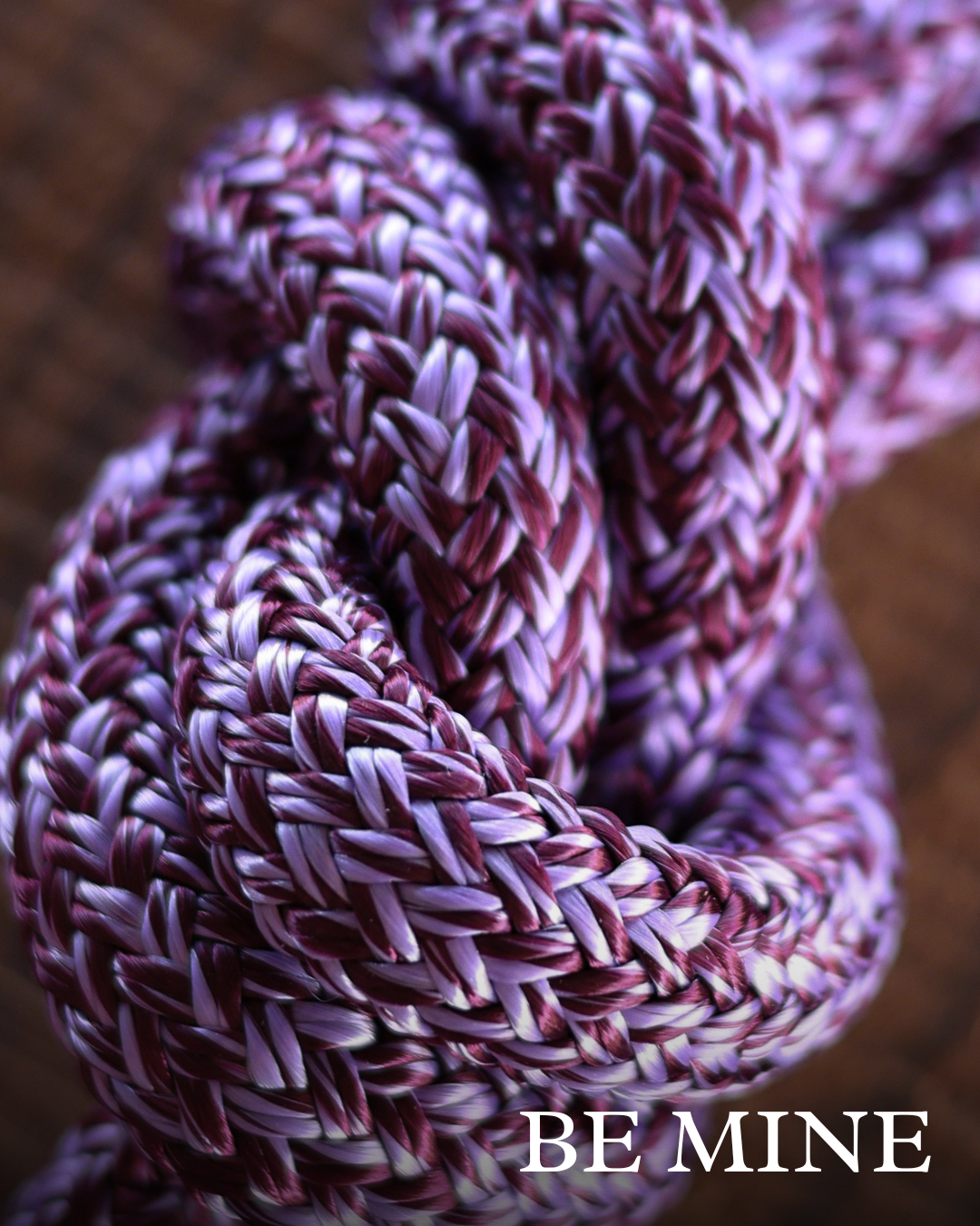 Special Edition Collection Lead Ropes