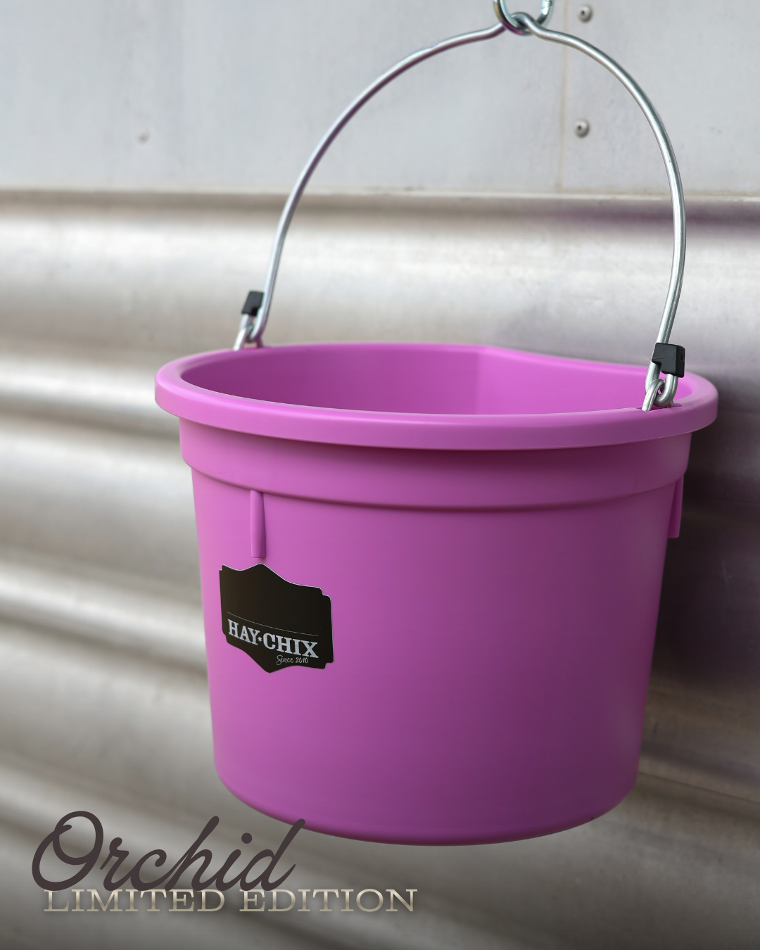 The Hay Chix® Favorite Bucket