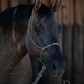 Redemption Rope Halters