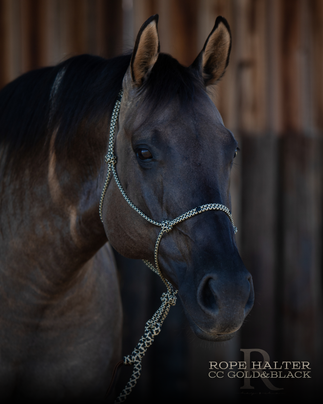 Redemption Rope Halters