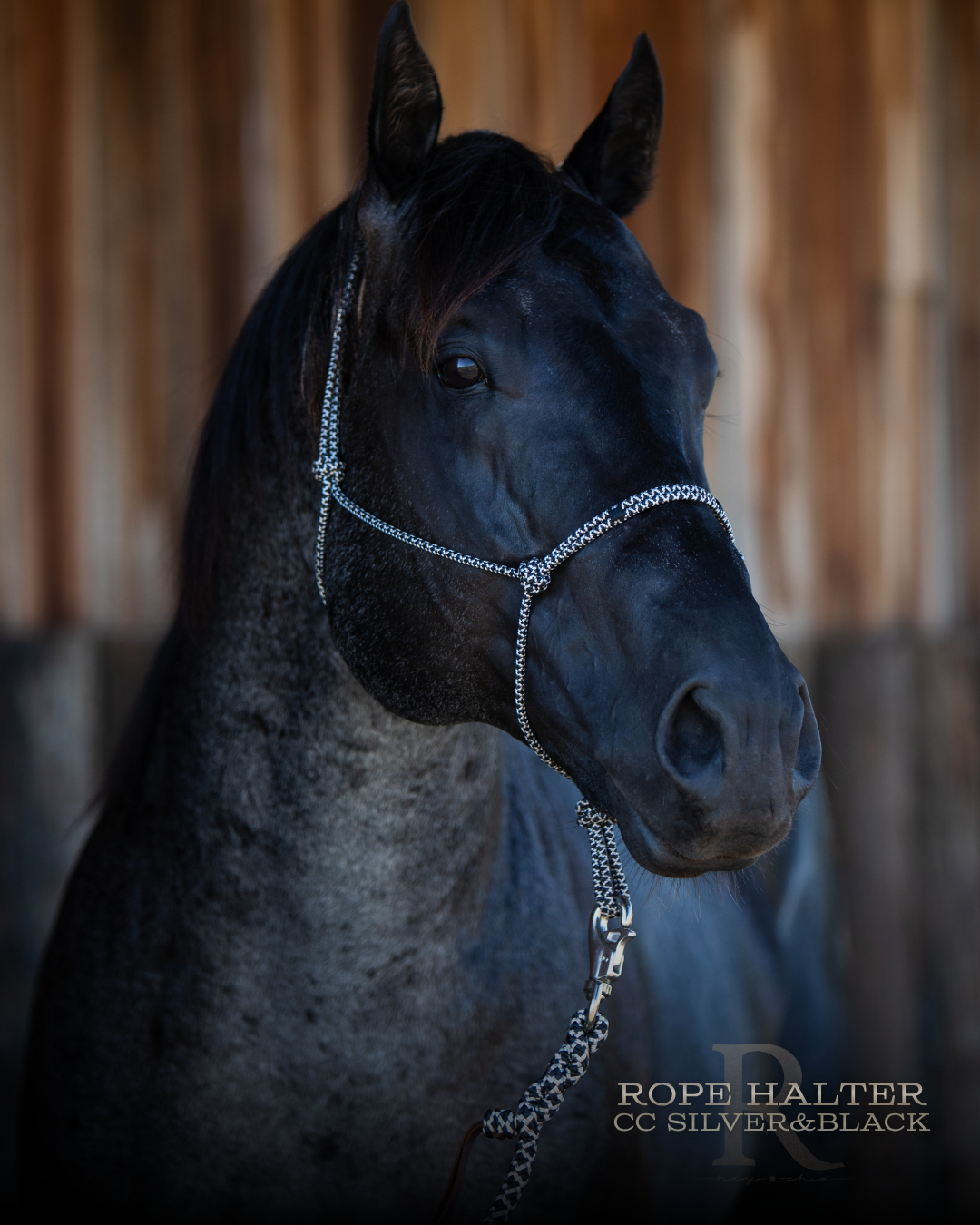 Redemption Rope Halters