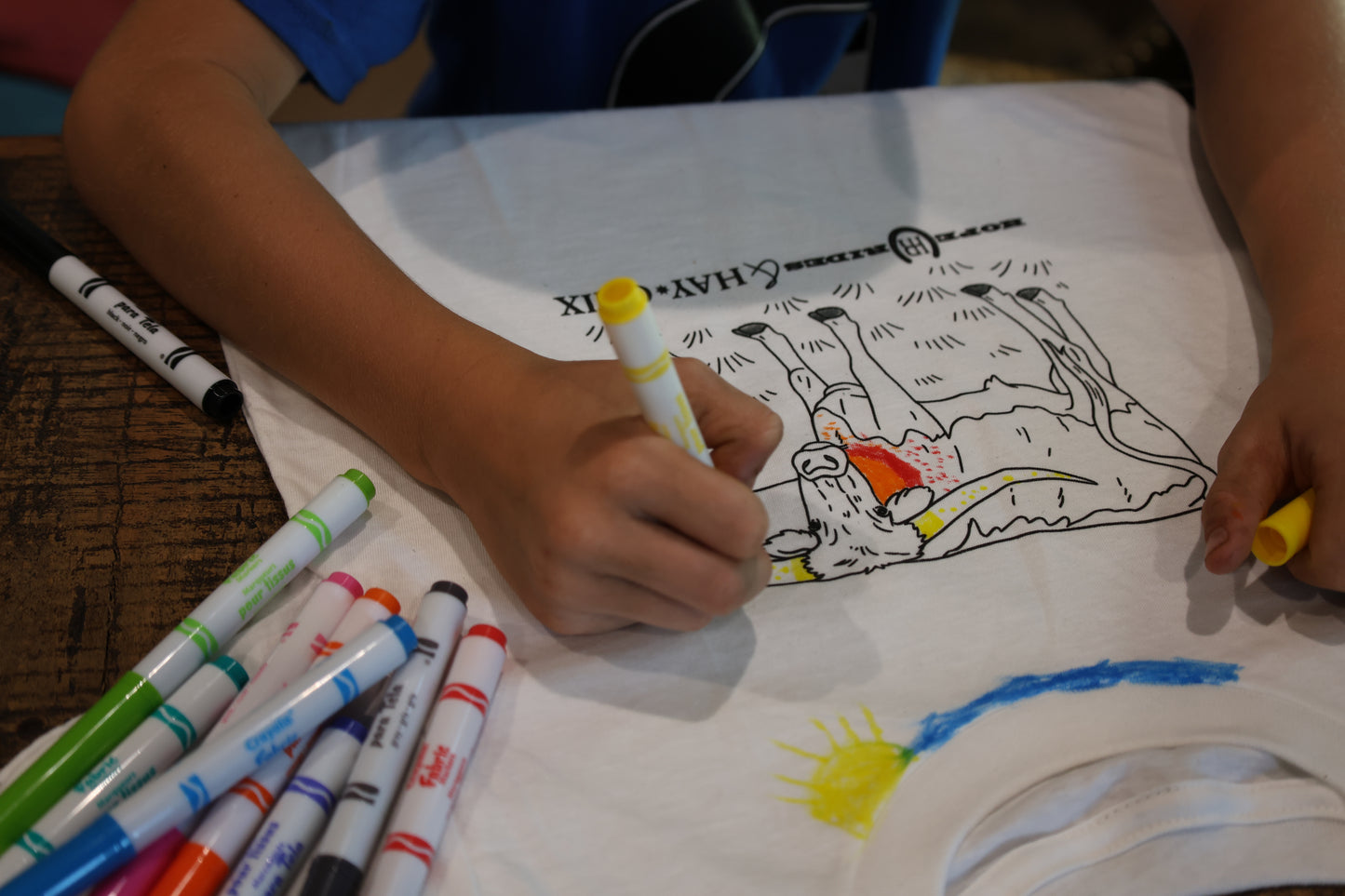 Hay Chix Youth Coloring Tee