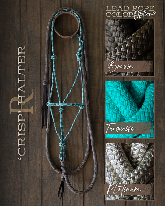 Timeless Halter & Lead Rope Set- Crisp
