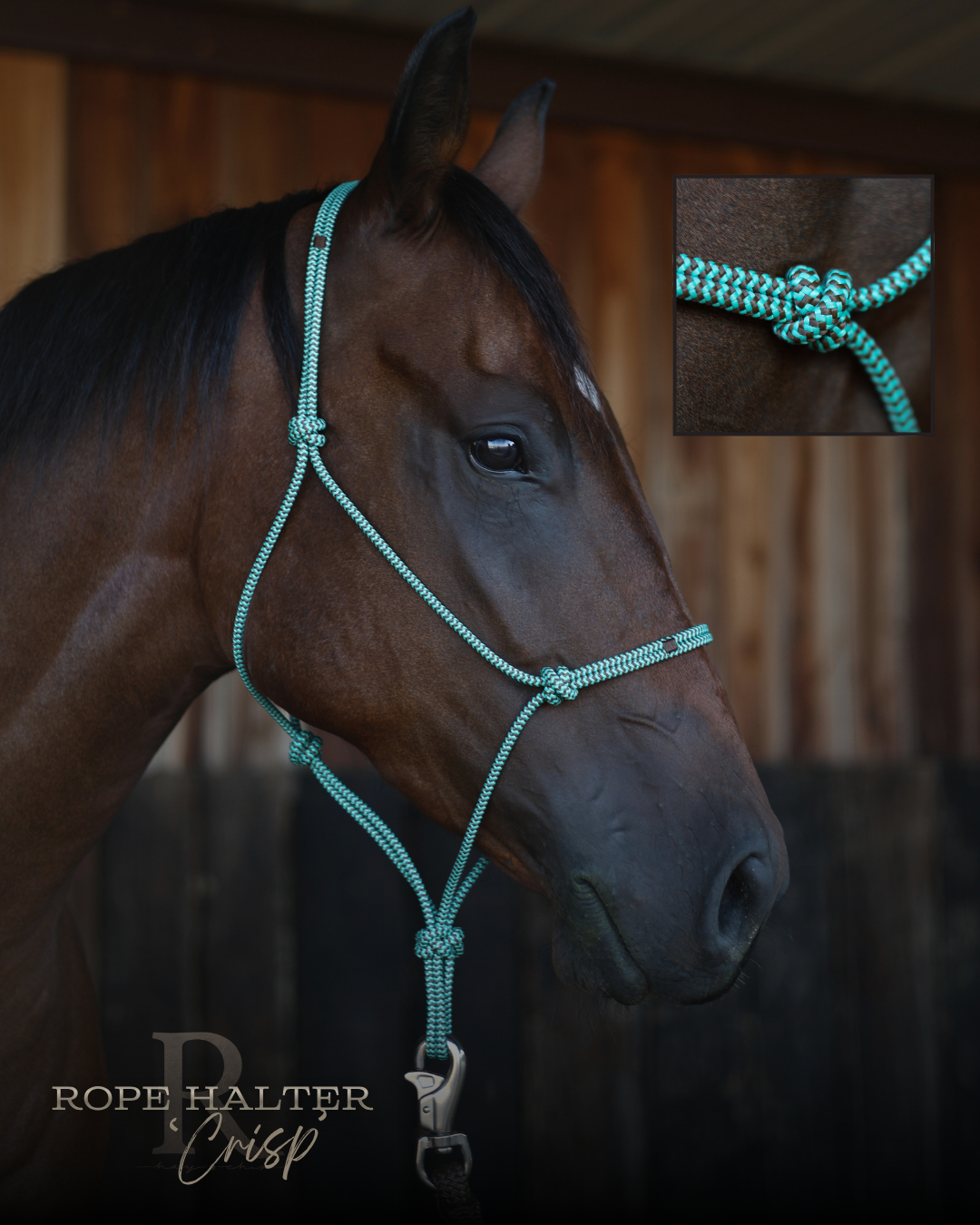 Redemption Rope Halters