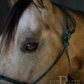Redemption Rope Halters