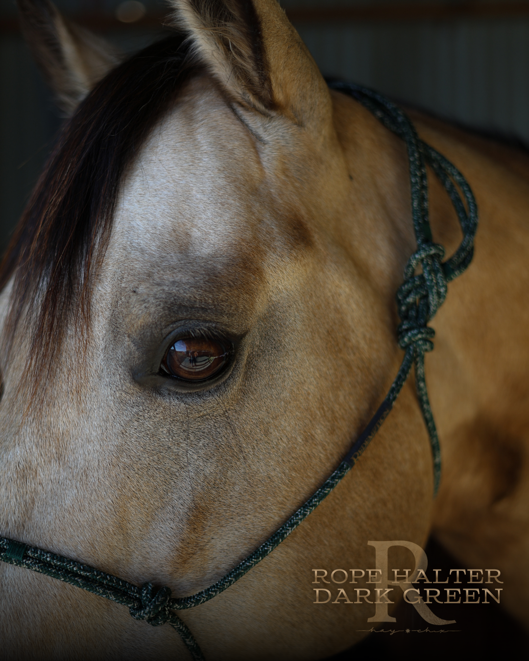 Redemption Rope Halters
